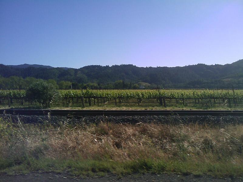 IMAGE_038.jpg