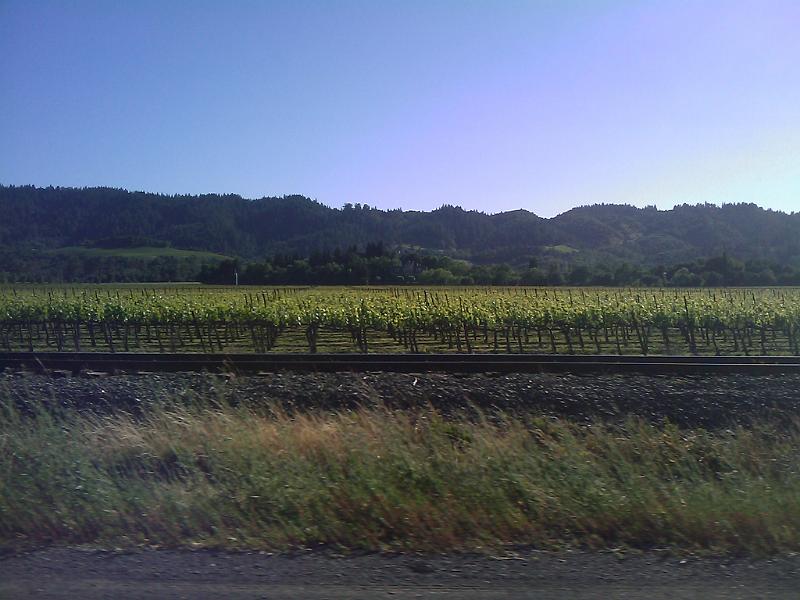 IMAGE_039.jpg