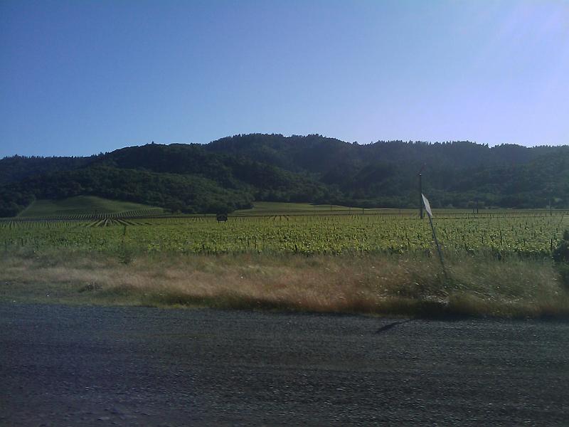 IMAGE_040.jpg