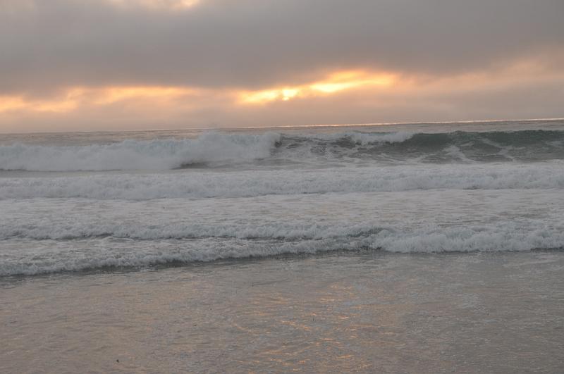 DSC_0914.JPG