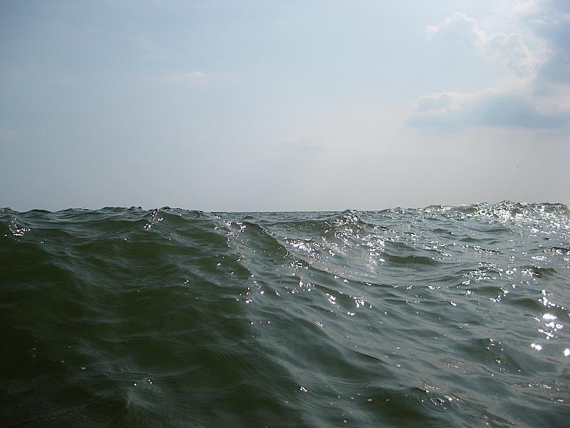 IMG_6934.JPG