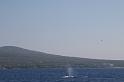 IMG_4924